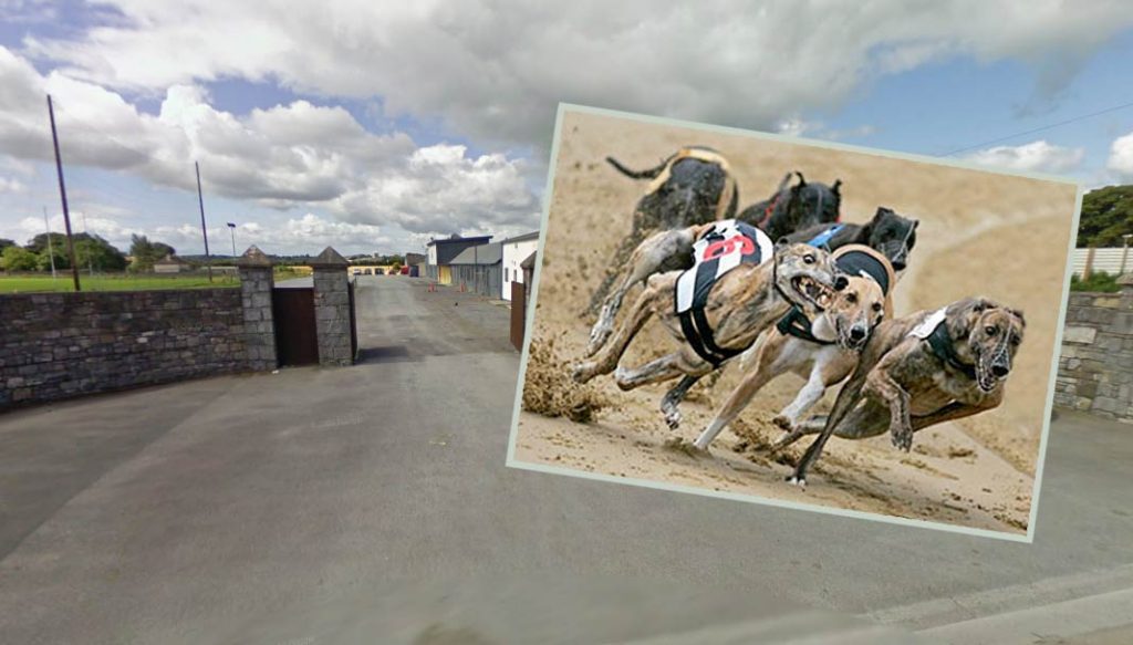 Racing this evening at Kilkenny Greyhound Track features 1st Rd Heats
