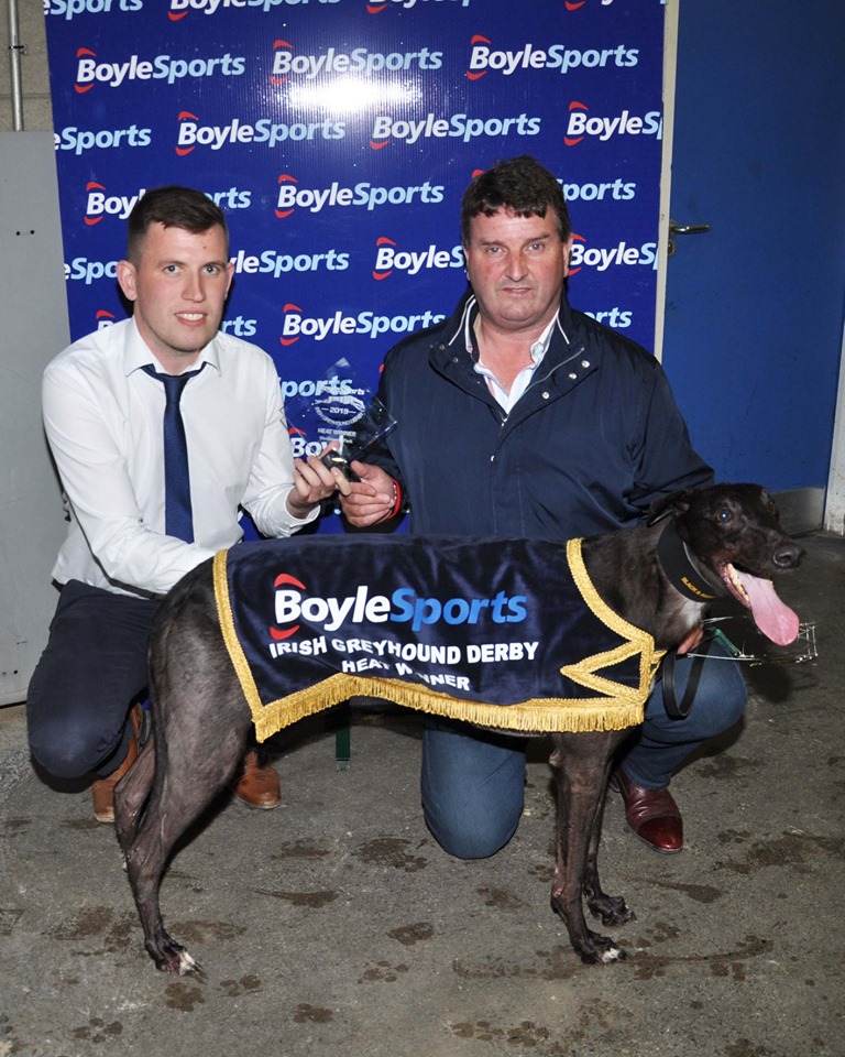 Kilkenny well represented in Irish Greyhound Derby in the second round ...