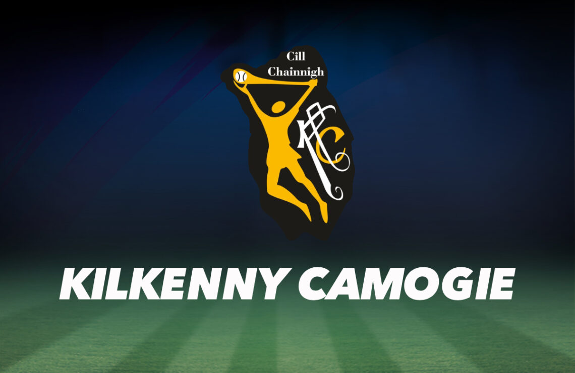 Kilkenny Senior, Intermediate and Junior Camogie champions to be crowned this weekend