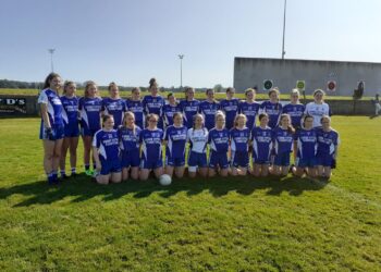 Old Leighlin progress in Leinster Championship while Fenagh lose out
