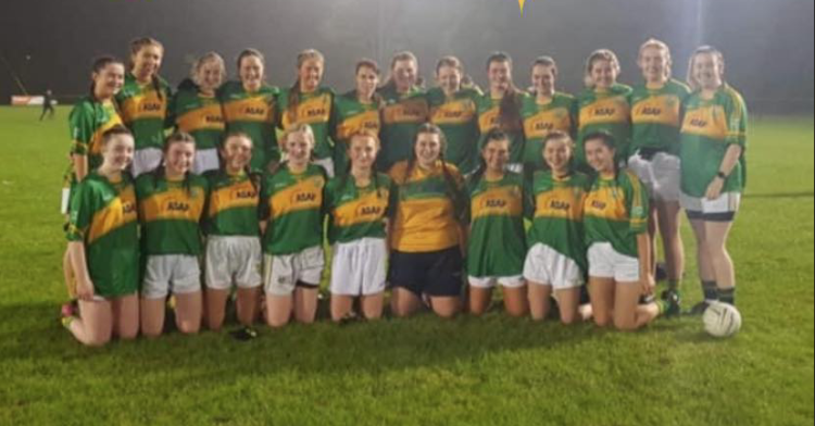 Rathvilly crowned Carlow Ladies Senior B Football champions last night