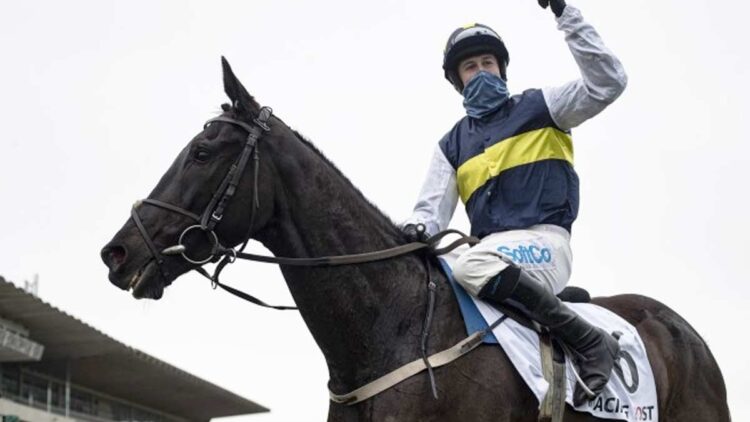 Bryan Cooper and Franco De Port after winning the Racing Post Novice Chase (Grade 1) on Day 1 of the Leopardstown Christmas Festival