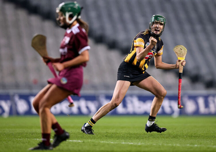 Denise Gaule and Grace Walsh nominated for Senior Player of the Year in Camogie All-Star Awards