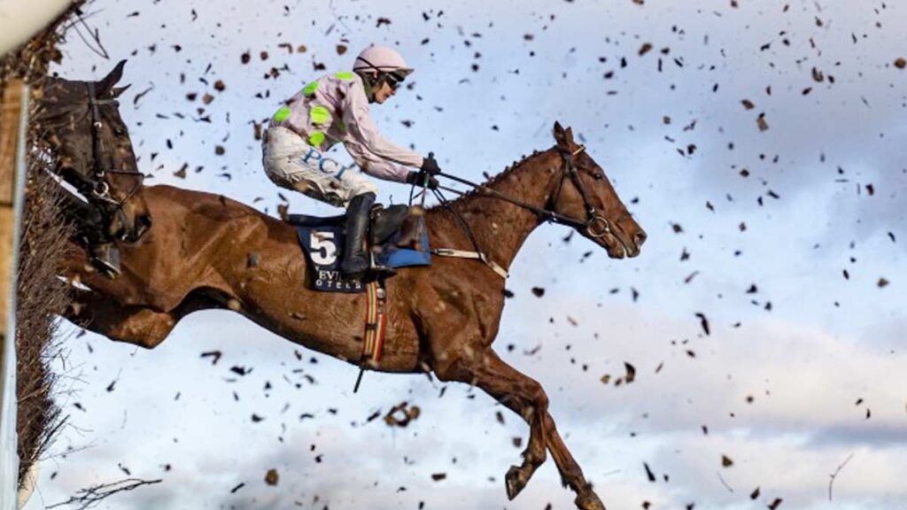 Paul Townend on board Monkfish at Leopardstown.