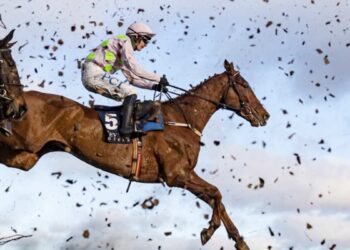 Paul Townend on board Monkfish at Leopardstown.