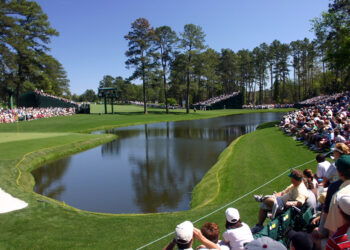 Redbud by gomattolson is licensed under CC BY-SA 2.0