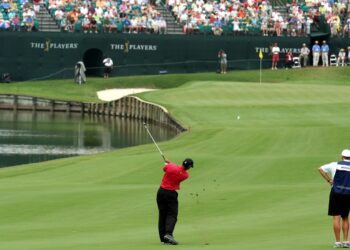 Back Nine: Tiger Woods has operation on his back for the fifth time