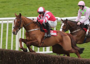 Acapella Bourgeois (Patrick McCann/Racing Post)