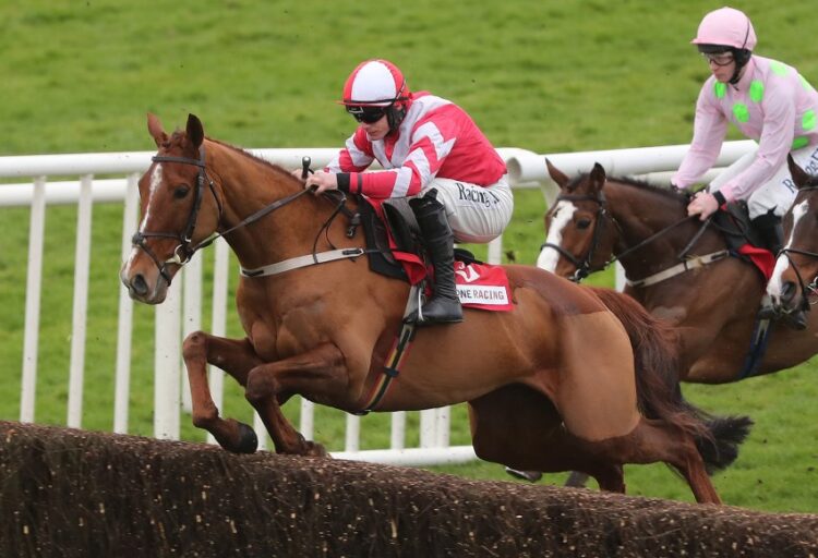 Acapella Bourgeois (Patrick McCann/Racing Post)