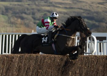 Chatham Street Lad is among the entries for the Dan & Joan Moore Memorial Handicap Chase at Fairyhouse on Saturday (Horse Racing Ireland)