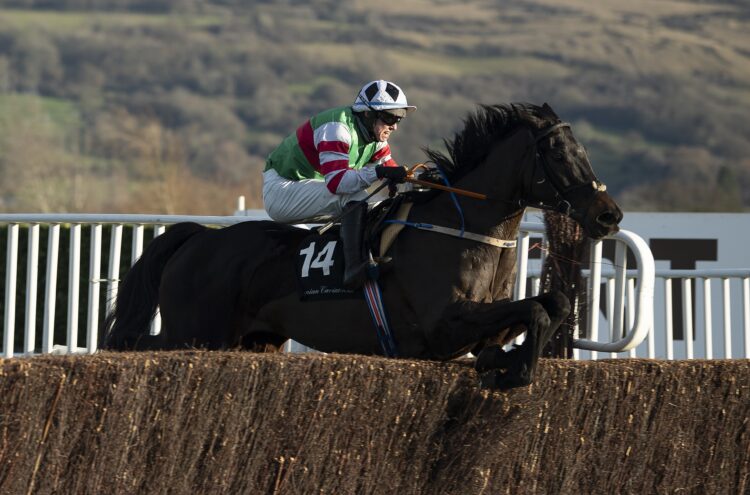 Chatham Street Lad is among the entries for the Dan & Joan Moore Memorial Handicap Chase at Fairyhouse on Saturday (Horse Racing Ireland)