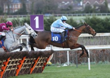 Honeysuckle features among the bumper entries for the Dublin Racing Festival at Leopardstown early next month. (Pic: Caroline Norris/Racing Post)
