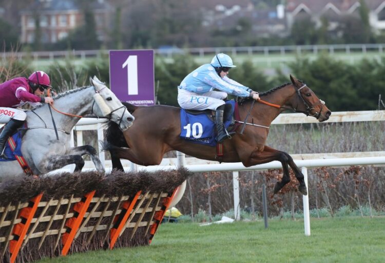 Honeysuckle features among the bumper entries for the Dublin Racing Festival at Leopardstown early next month. (Pic: Caroline Norris/Racing Post)