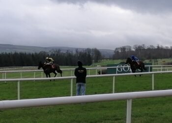 2021 Goffs Thyestes Day. @scorelinesport/Twitter