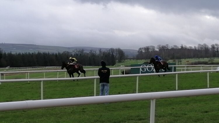 2021 Goffs Thyestes Day. @scorelinesport/Twitter