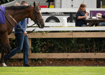 Willie Mullins bringing the big names to Leopardstown for the Dublin Festival this weekend