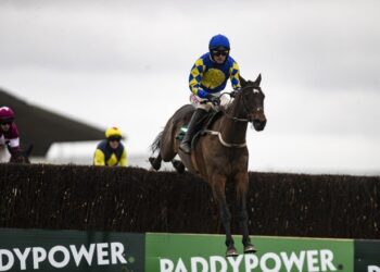 Danny Mullins and Kemboy; winner of the Paddy Power Irish Gold Cup. Photo Credit: Caroline Norris, Racing Post