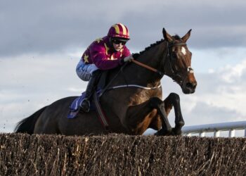 Minella Indo heads the Paddy Power Irish Gold Cup field for Sunday’s big race in Leopardstown