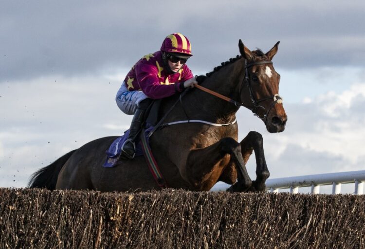 Minella Indo heads the Paddy Power Irish Gold Cup field for Sunday’s big race in Leopardstown