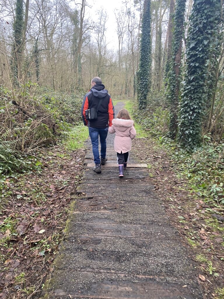 Oak Park Forest Walk, Carlow. (Eimear Ní Bhraonáin)