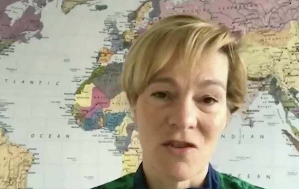 Vera Pauw (Screengrab) FAI TV