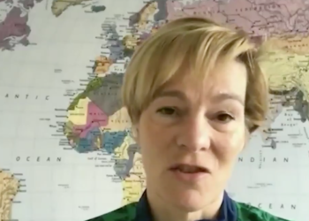 Vera Pauw (Screengrab) FAI TV