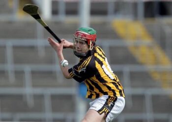 There was never a conversation about the 2011 homecoming song says former Kilkenny hurler John Mulhall
