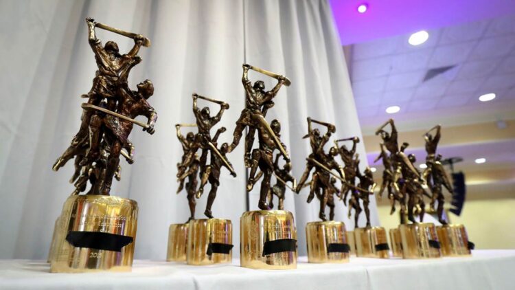 Camogie All-Stars trophies