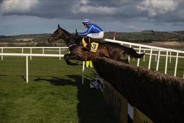Electric Energumene delivers for champion-elect Townend and majestic Mullins at Punchestown