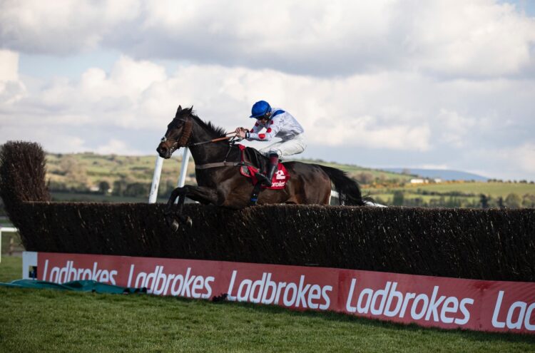 Clan Des Obeaux ends Willie Mullins’ dominance in the Punchestown Gold cup