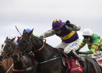 Horse Racing (Patrick McCann/Racing Post)