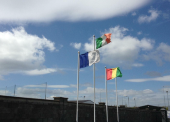 Tinryland GAA (Google Maps)