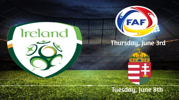 Two international friendlies have been arranged for Stephen Kenny’s Ireland