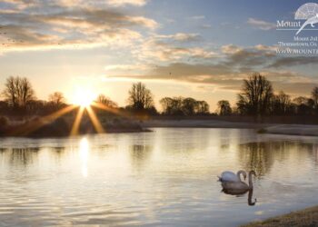 Shane Lowry hopeful of some fans at the Irish Open in Mount Juliet in July