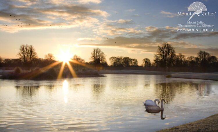 Shane Lowry hopeful of some fans at the Irish Open in Mount Juliet in July
