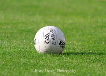 Last gasp point sees Carlow topple Wexford in dramatic circumstances