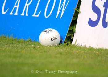 Last gasp point sees Carlow topple Wexford in dramatic circumstances