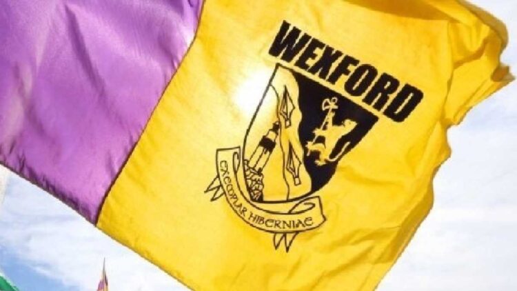 Two members of the Wexford hurling panel have tested positive for Covid-19