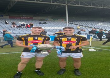 Kilkenny minor team shine as they capture the 2020 Leinster title
