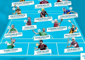 MMinor Hurling Team of the Year 2020