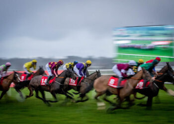 Irish Racing grows significantly during pandemic as Horse Racing Ireland publishes new figures