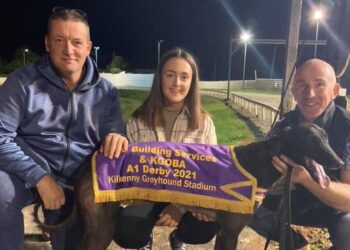 ‘Hollyhill Sonny’ the star at Kilkenny track as he lands the A1 Derby