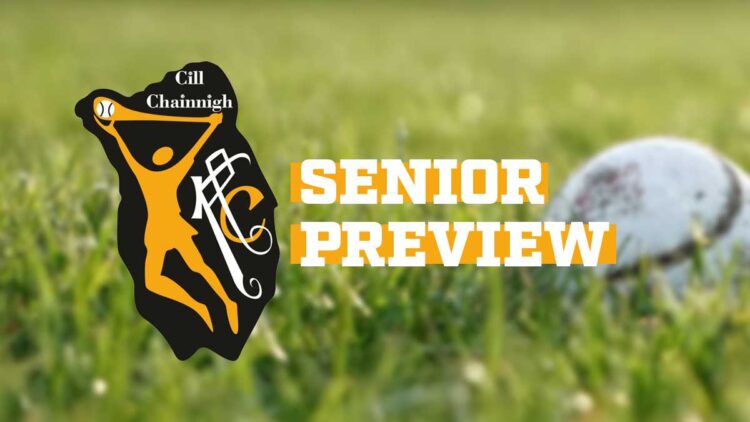 Kilkenny Camogie senior fixtures preview