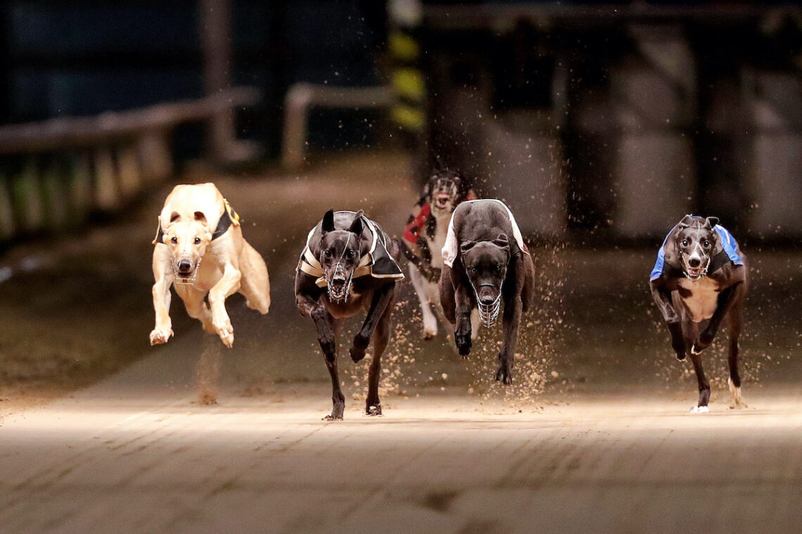 Very little separating the top eight in opening round of the Kilkenny Track A3 525