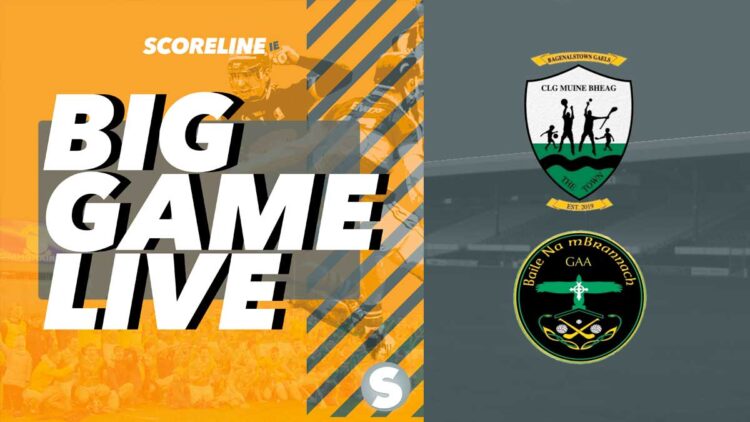 Bagenalstown Gaels v Ballinabranna