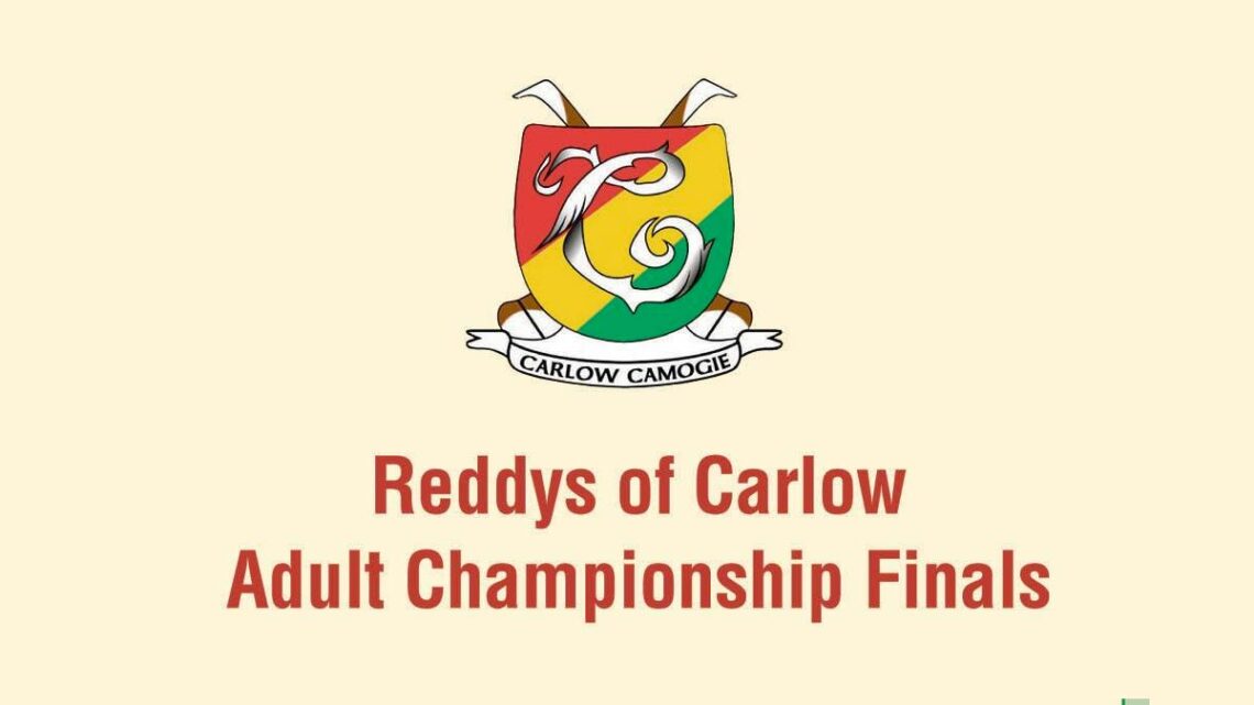 Carlow camogie finals