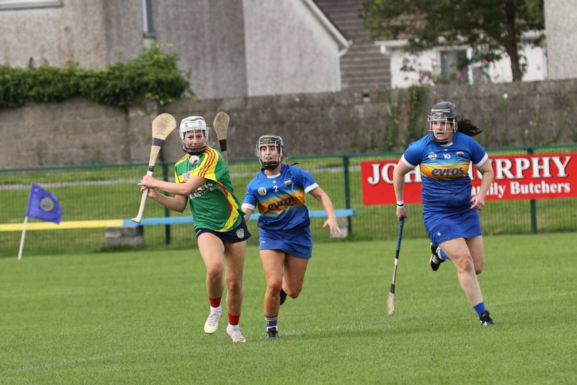 Carlow Camogie seeking intermediate, minor and U16 managers for 2022