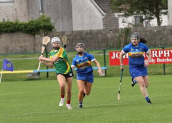 Carlow Camogie seeking intermediate, minor and U16 managers for 2022