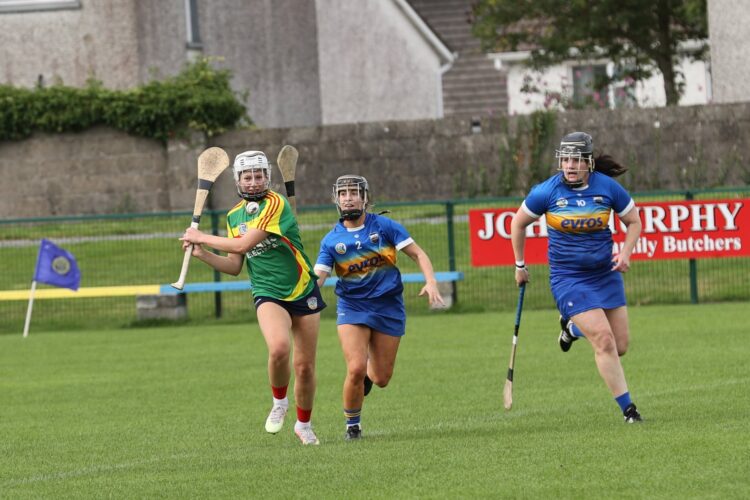 Carlow Camogie seeking intermediate, minor and U16 managers for 2022