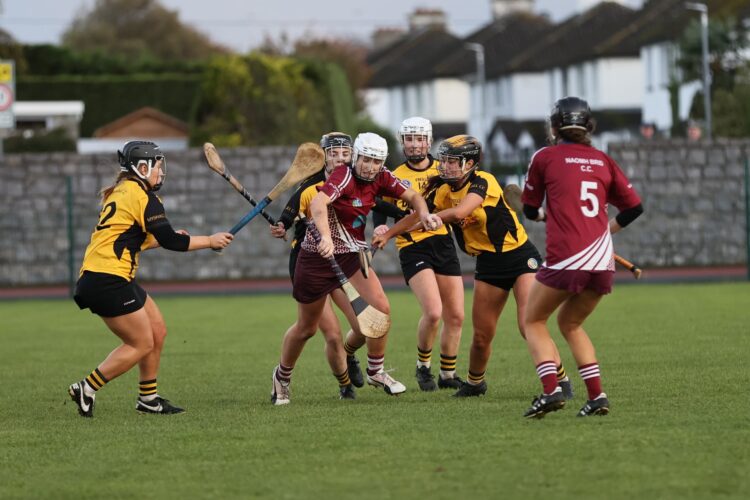 Tickets on sale for 2020 Leinster Camogie Championships including local derby between Myshall and Conahy Shamrocks